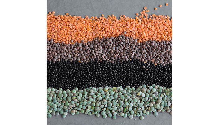 Rabbit Loin, Lentils, Spinach and Endive